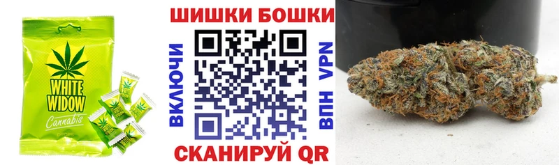 это наркотические препараты  мега ссылка  Шагонар  Печенье с ТГК конопля 