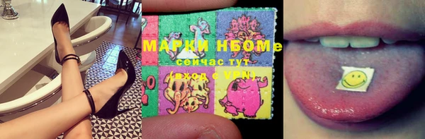 бошки Пересвет