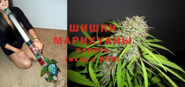 шишки Переславль-Залесский