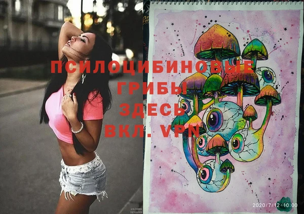 спайс Беломорск