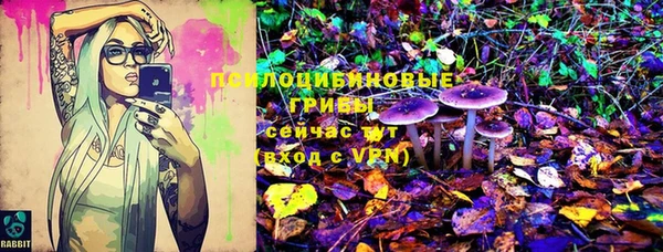 спайс Беломорск