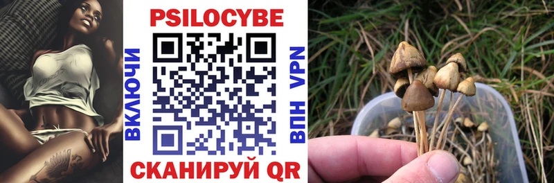 площадка клад  Шагонар  Псилоцибиновые грибы Psilocybine cubensis  kraken вход 